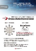 CrossDataConversion