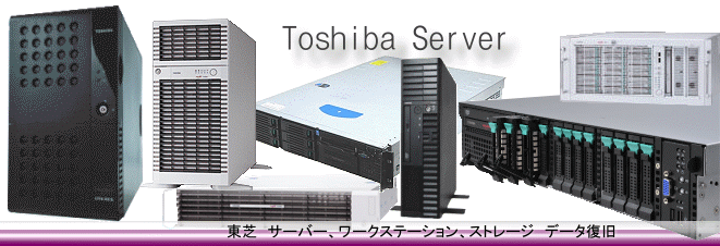 TOSHIBA データ復旧